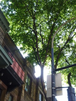 Looking up Montreal street, Avenue du Parc, Apartments