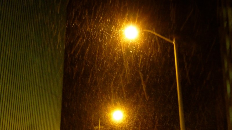 Street lights through snow