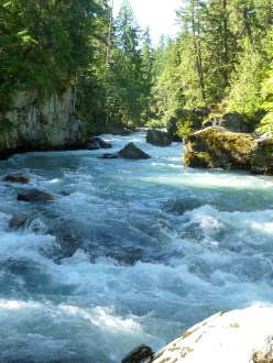 Whistler hiking path, sunny river shot, August