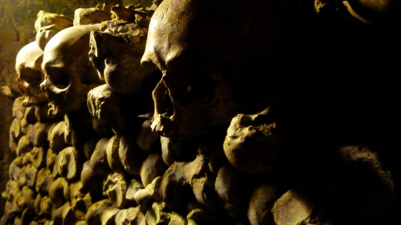 Parisian Catacomb Skulls