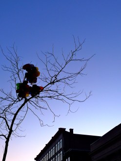 Balloons caught on St Catherine, Montreal