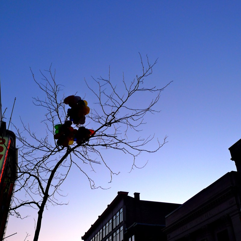 Balloons caught on St Catherine, Montreal