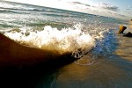 wave crashing against water-smoothed tree on Mexican beach