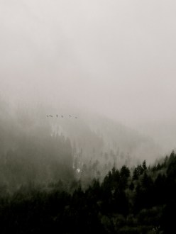 fog over BC mountains, birds, Mission, Fraser Valley