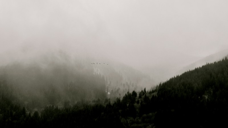 fog over BC mountains, birds, Mission, Fraser Valley