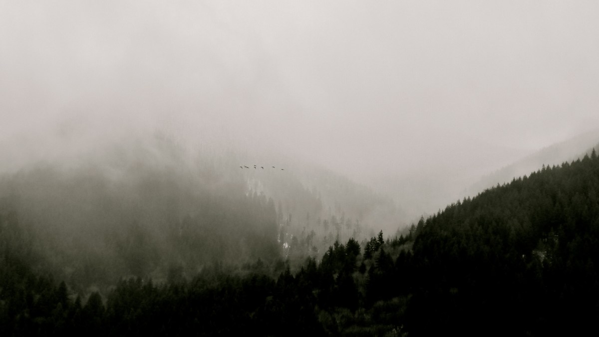 fog over BC mountains, birds, Mission, Fraser Valley