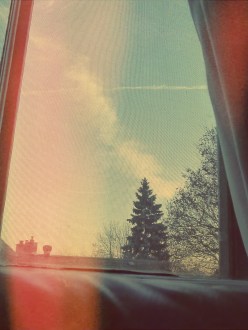 Looking out windowsill Ottawa