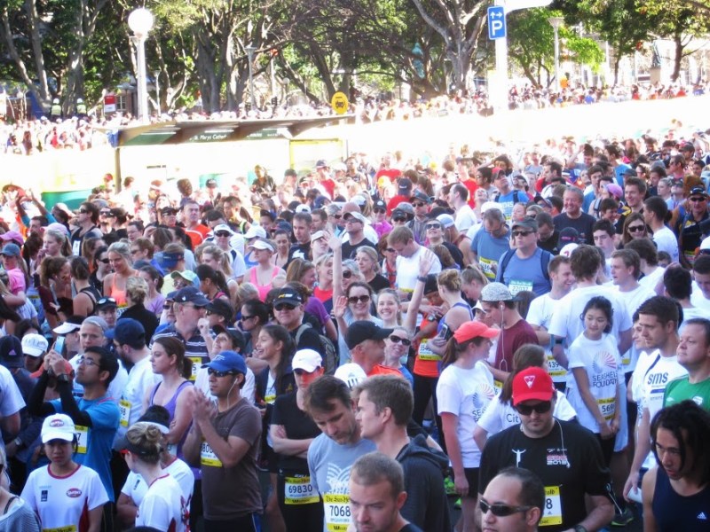 City2Surf crowd waiting to start 2013