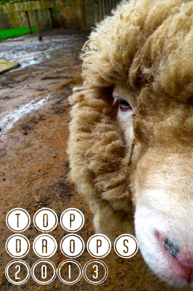 Top Drops 2013 Close up of sheep