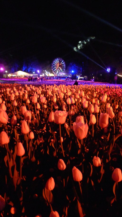 Ferris Wheel Night Fest Floriade Canberra